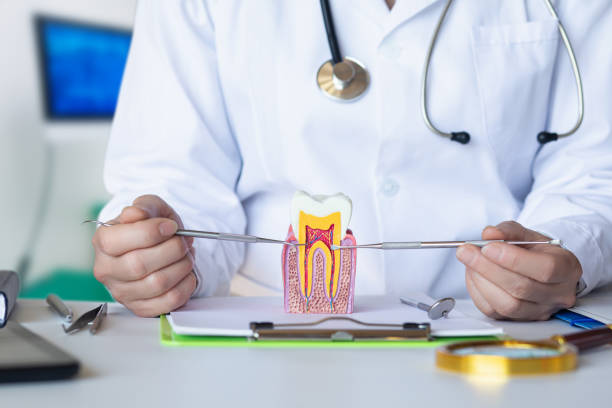 Best Broken or Cracked Tooth Emergency Dentist in Lenox, IA
